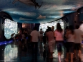 20090621_georgia-aquarium_0005