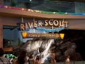 20090621_georgia-aquarium_0015