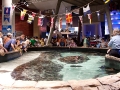 20090621_georgia-aquarium_0018