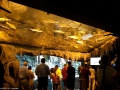 20090621_georgia-aquarium_0050