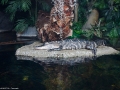 20090621_georgia-aquarium_0054