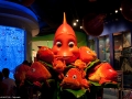 20090621_georgia-aquarium_0171