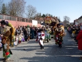 pfeffenhausen-fasching-2011-19