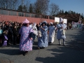 pfeffenhausen-fasching-2011-8