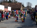 pfeffenhausen-fasching-2011-9