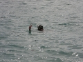 0906_thailand_146