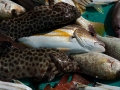 0906_thailand_149
