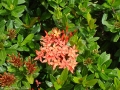 0906_thailand_160