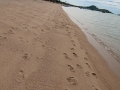 0906_thailand_190