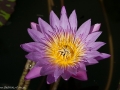 0906_thailand_206