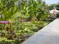 0906_thailand_207