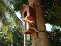 0906_thailand_236