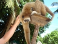 0906_thailand_239