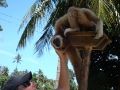 0906_thailand_240