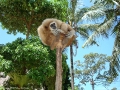 0906_thailand_242