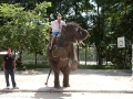 0906_thailand_245