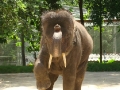 0906_thailand_246