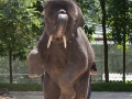 0906_thailand_247