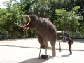 0906_thailand_249