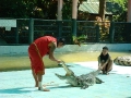 0906_thailand_252