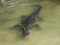 0906_thailand_257