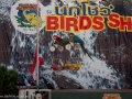 0906_thailand_259