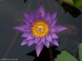 0906_thailand_268